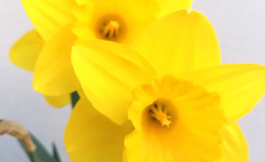 Wir wünschen Allen schöne Osterfeiertage und freuen uns auf die kommende Reisesaison gemeinsam mit Ihnen.