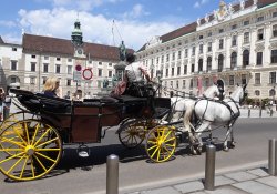 Walzerstadt Wien